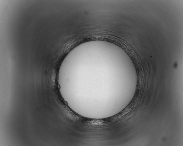 X0000100420668200806060949