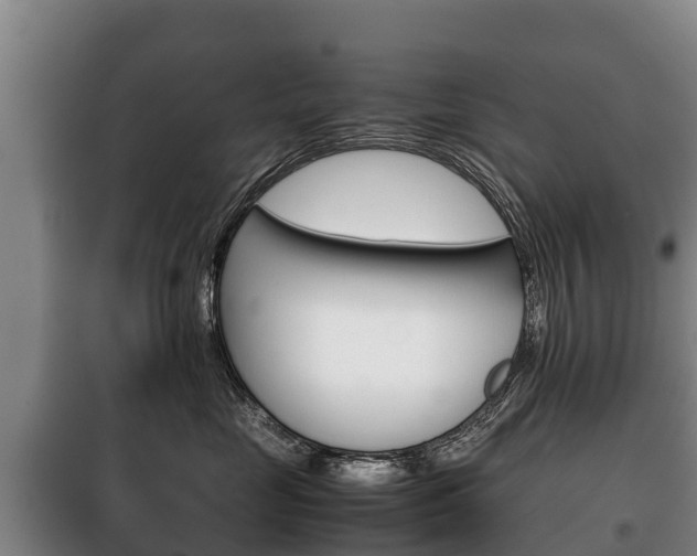 X0000100420669200806060949