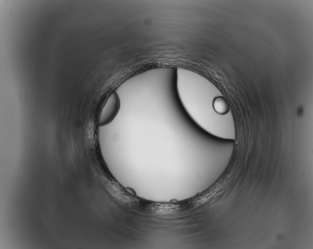 X0000100420670200806060949
