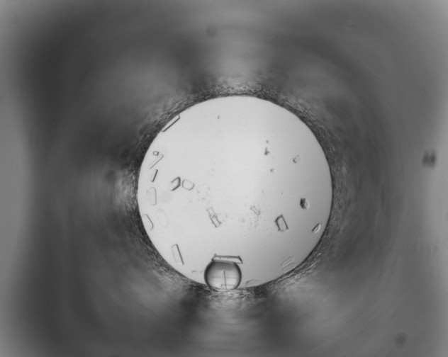 X0000100420672200806060949