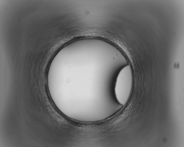 X0000100420673200806060948