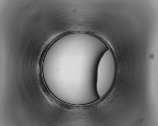 X0000100420674200806060948