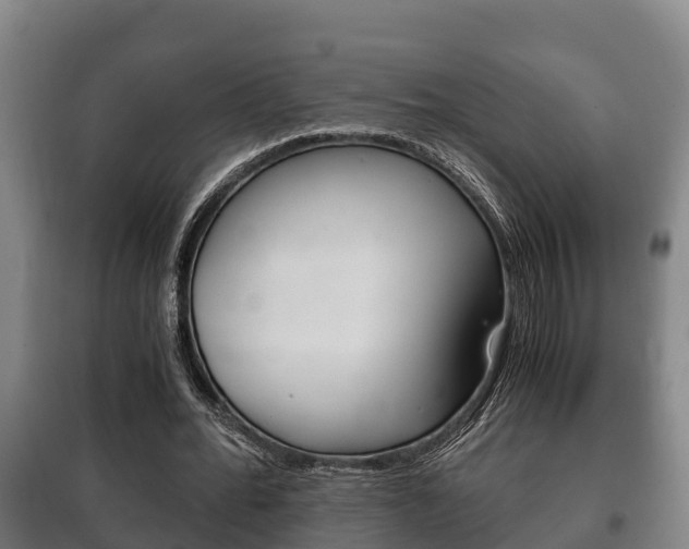 X0000100420676200806060948