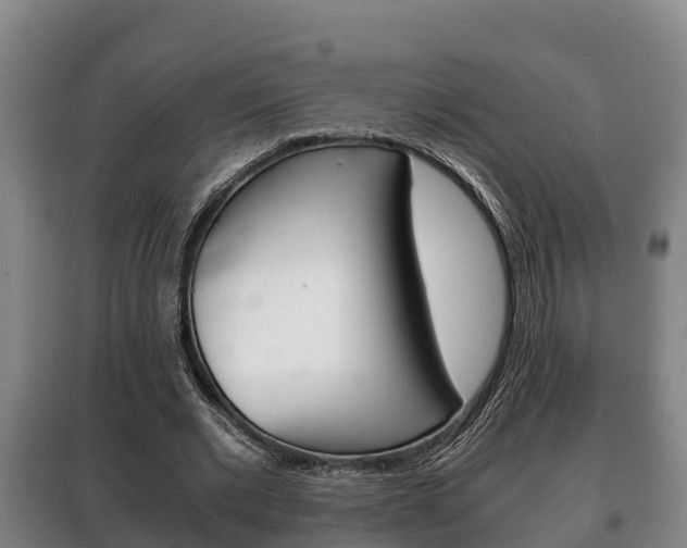 X0000100420677200806060948