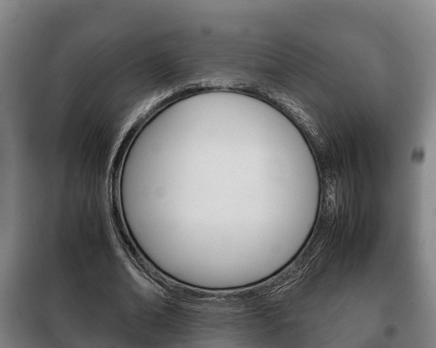 X0000100420678200806060948