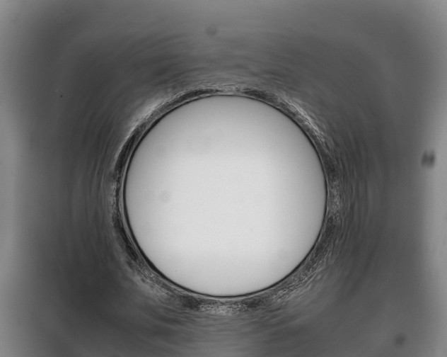 X0000100420679200806060948