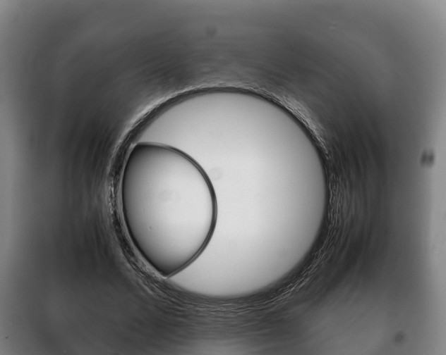 X0000100420680200806060948