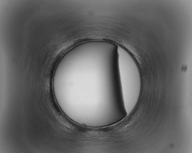 X0000100420681200806060948