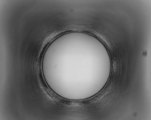 X0000100420682200806060948