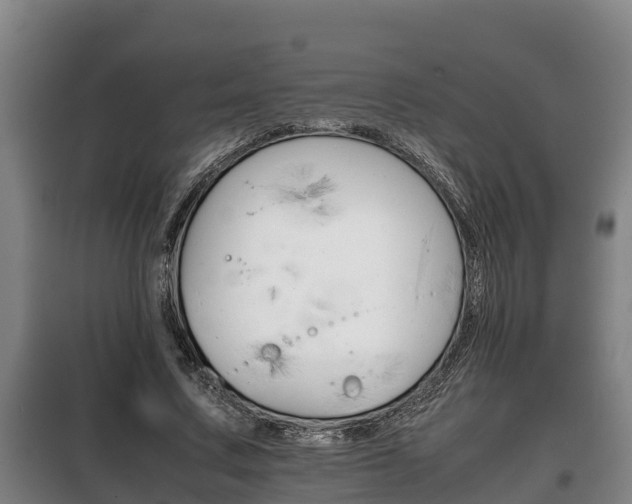 X0000100420683200806060948