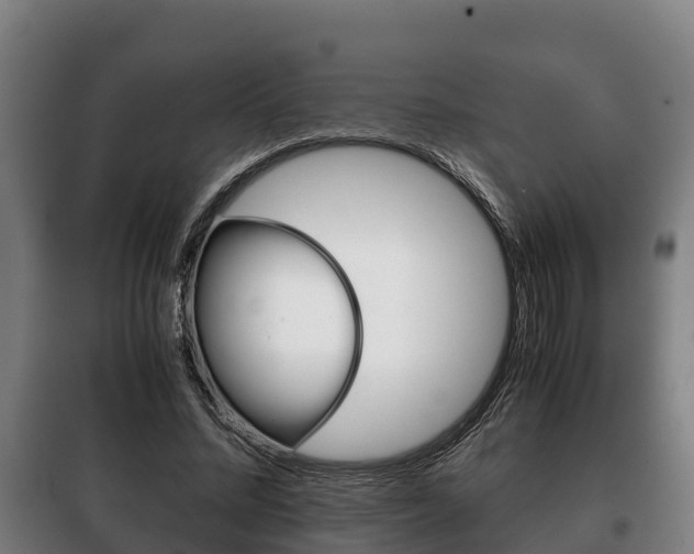 X0000100420684200806060948
