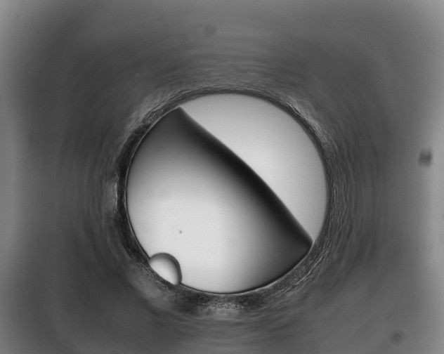 X0000100420685200806060948