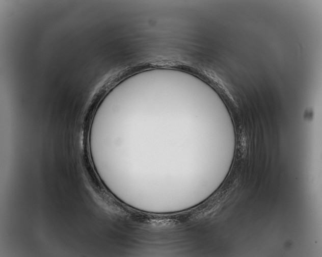 X0000100420686200806060948