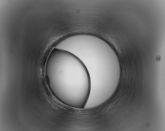 X0000100420688200806060948