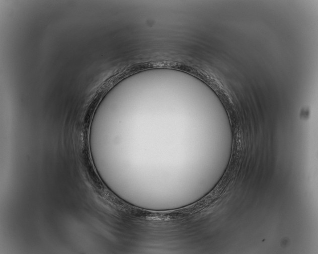 X0000100420690200806060948