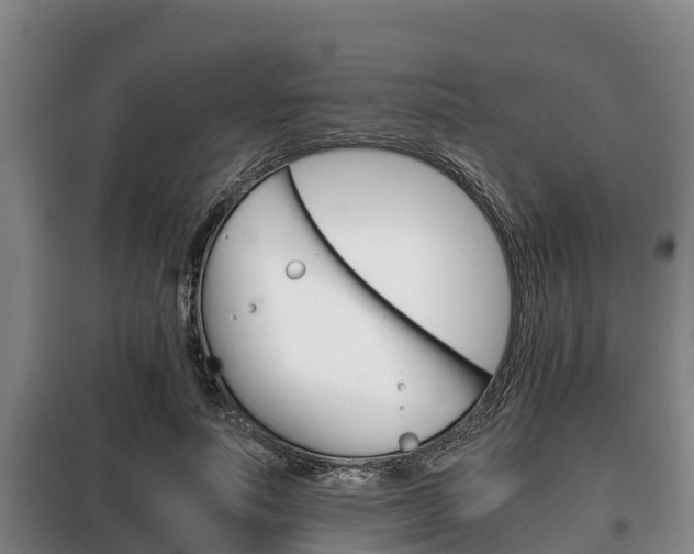 X0000100420691200806060948