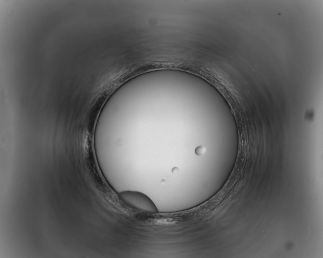 X0000100420692200806060948
