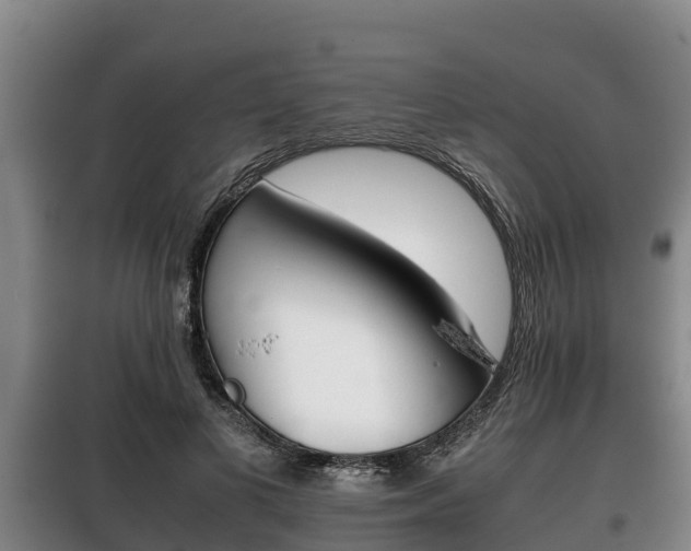 X0000100420693200806060948