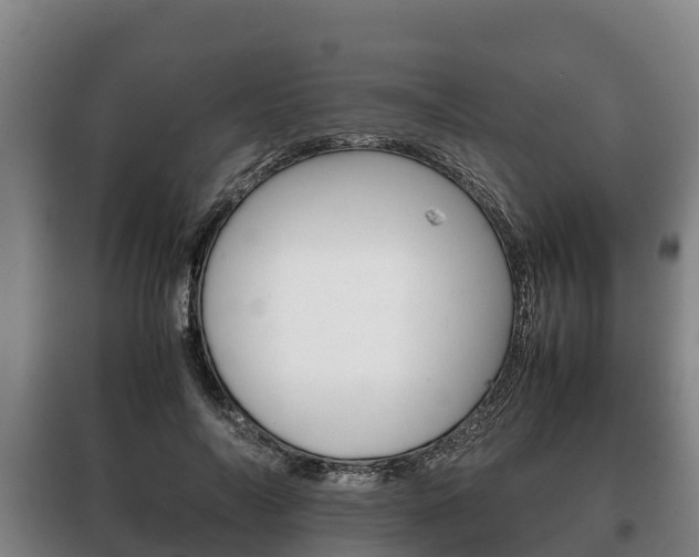X0000100420694200806060948