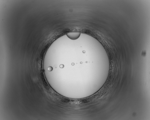 X0000100420695200806060948