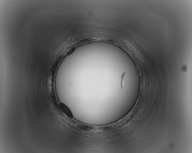 X0000100420696200806060948