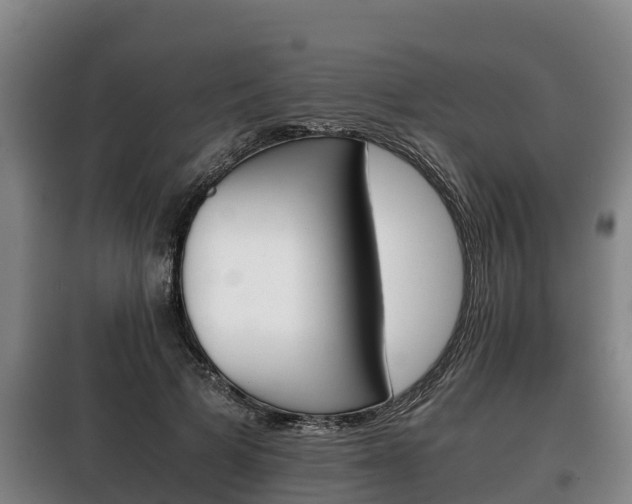 X0000100420697200806060948