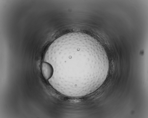 X0000100420698200806060948