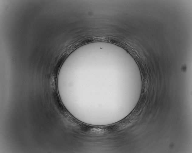 X0000100420699200806060948