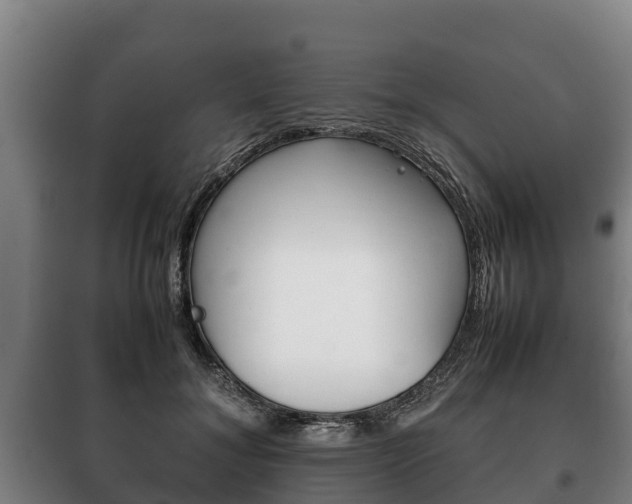 X0000100420700200806060948