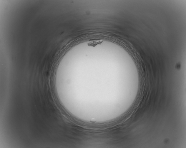 X0000100420701200806060948