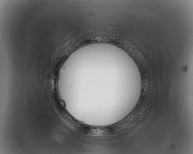 X0000100420703200806060948