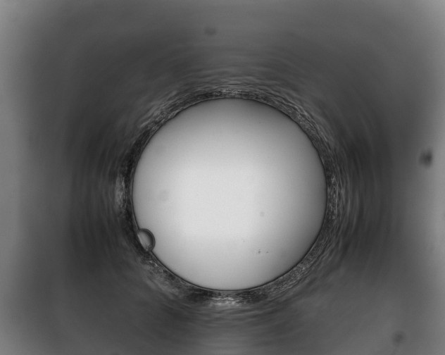 X0000100420704200806060948