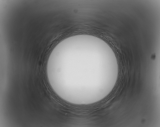 X0000100420705200806060948