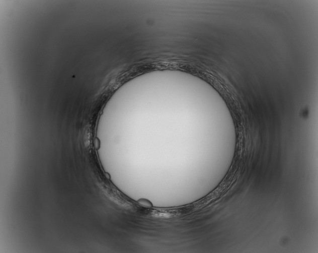 X0000100420706200806060948