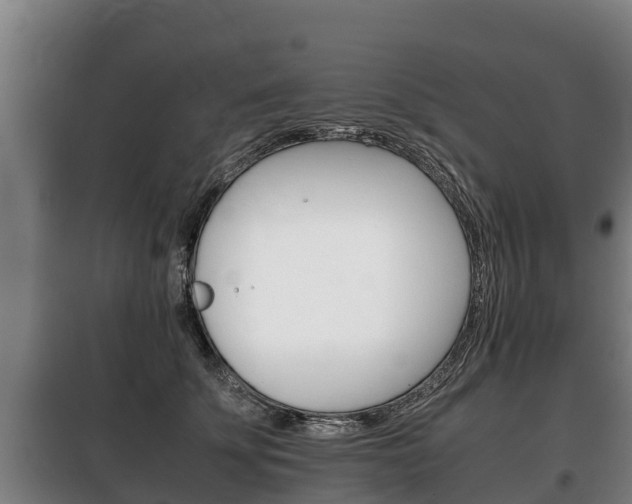 X0000100420707200806060948