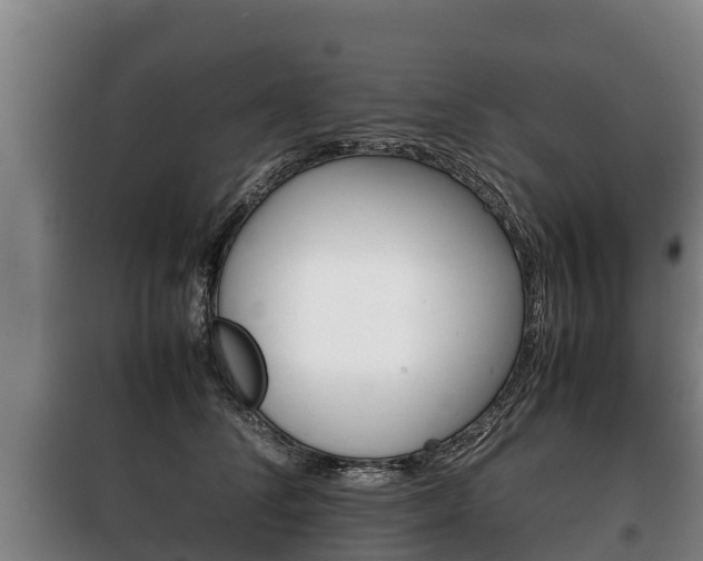 X0000100420708200806060948