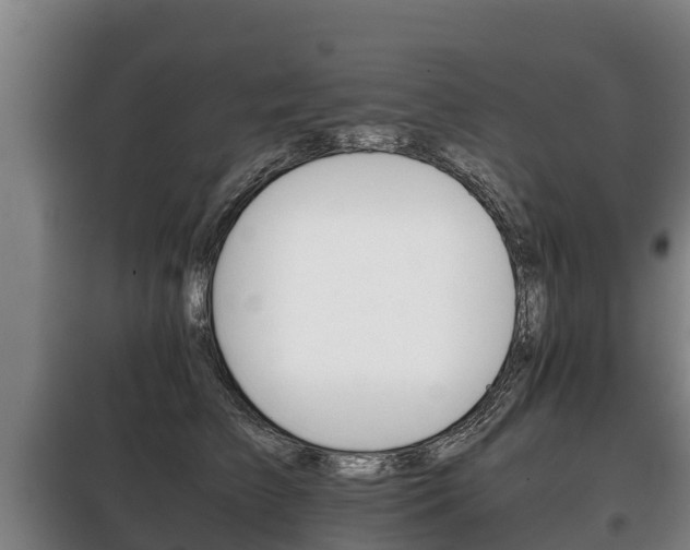 X0000100420709200806060948