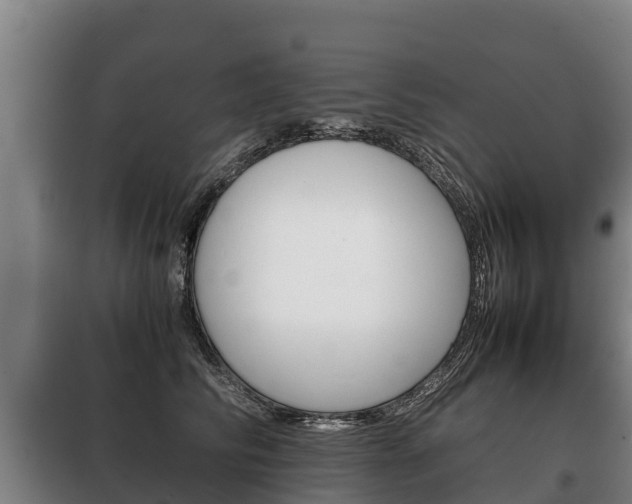 X0000100420710200806060948