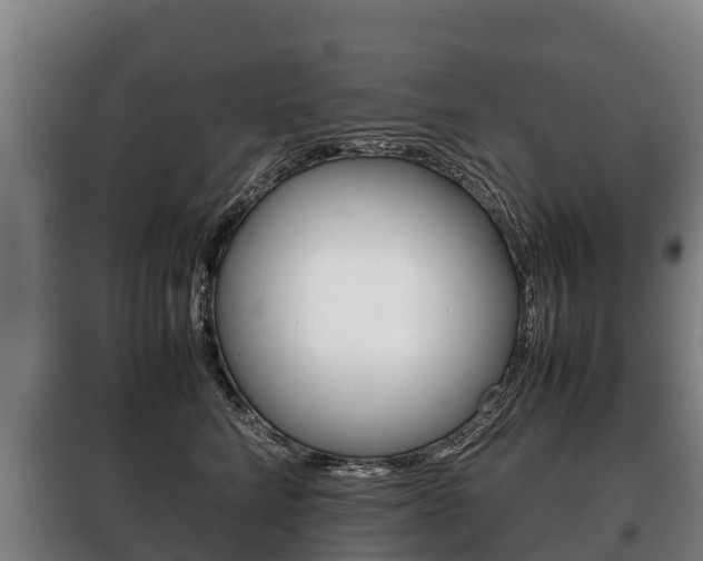 X0000100420712200806060948