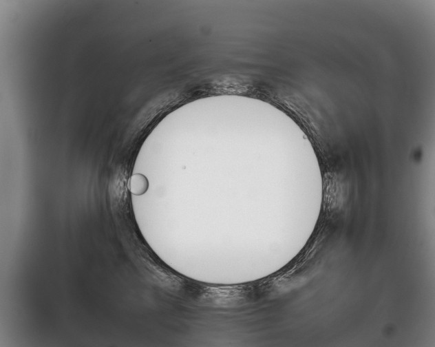 X0000100420713200806060948