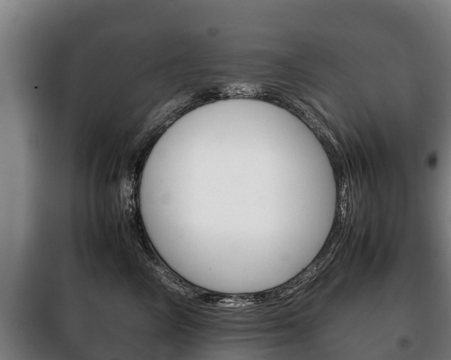 X0000100420714200806060948