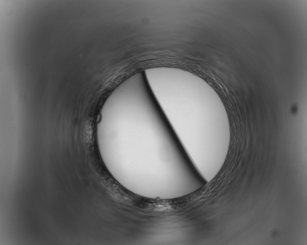 X0000100420715200806060948