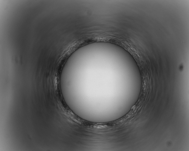 X0000100420716200806060948