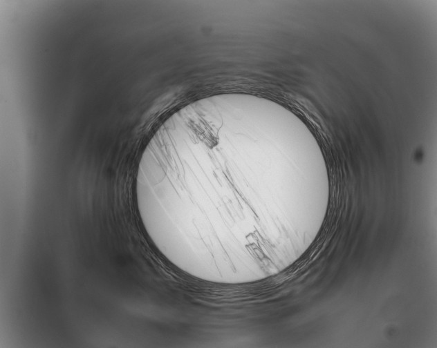 X0000100420717200806060948