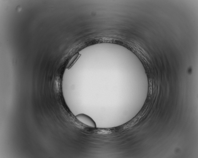 X0000100420718200806060948