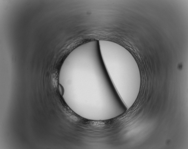 X0000100420719200806060948