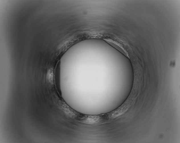 X0000100420720200806060948