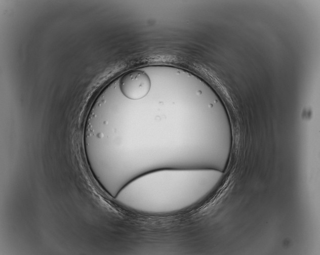 X0000100420721200806060947