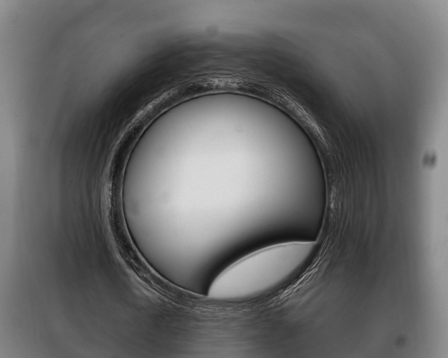 X0000100420722200806060947