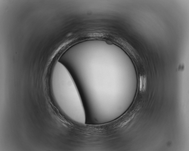X0000100420723200806060947